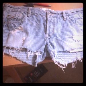 Hollister conductor shorts